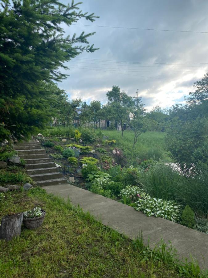 Holiday Home Usadba Novoselitsa المظهر الخارجي الصورة