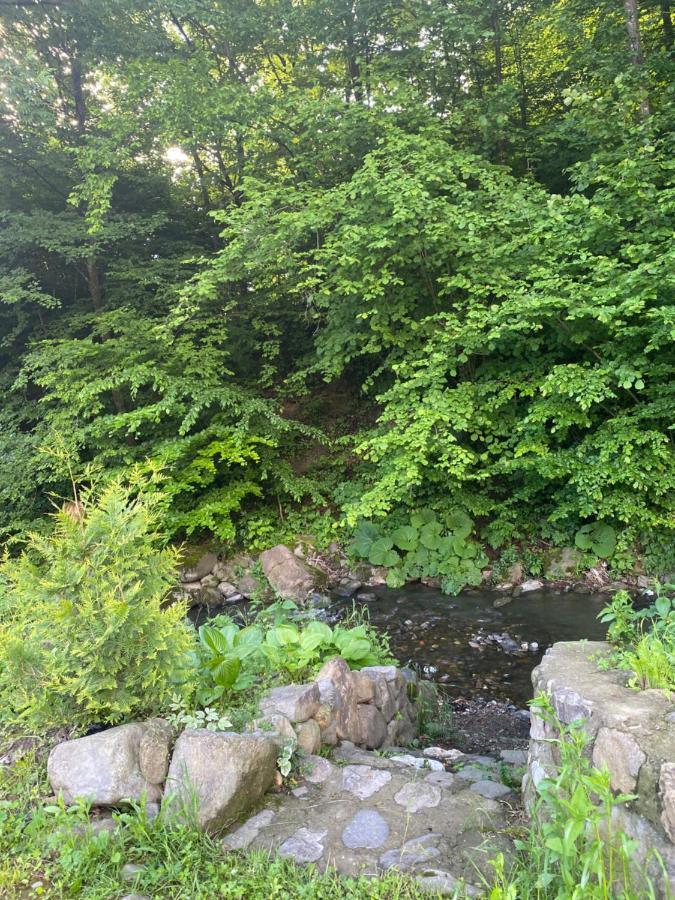 Holiday Home Usadba Novoselitsa المظهر الخارجي الصورة