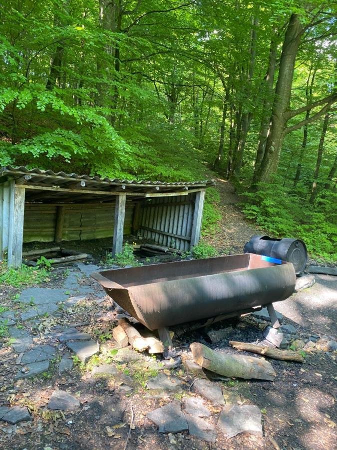 Holiday Home Usadba Novoselitsa المظهر الخارجي الصورة