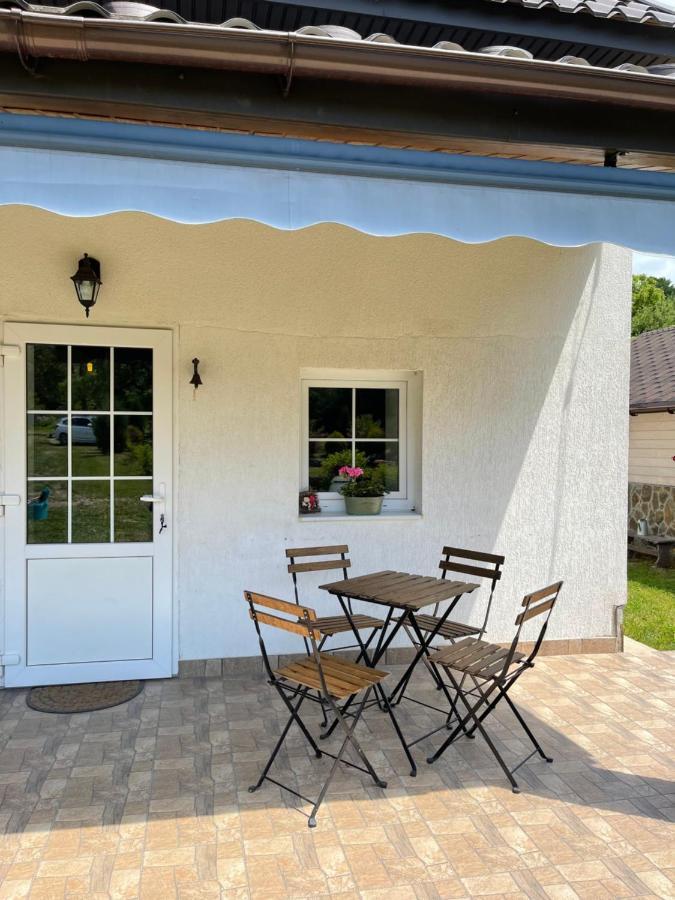 Holiday Home Usadba Novoselitsa المظهر الخارجي الصورة
