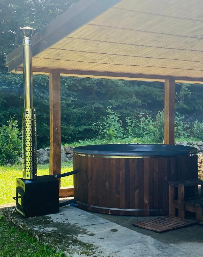 Holiday Home Usadba Novoselitsa المظهر الخارجي الصورة
