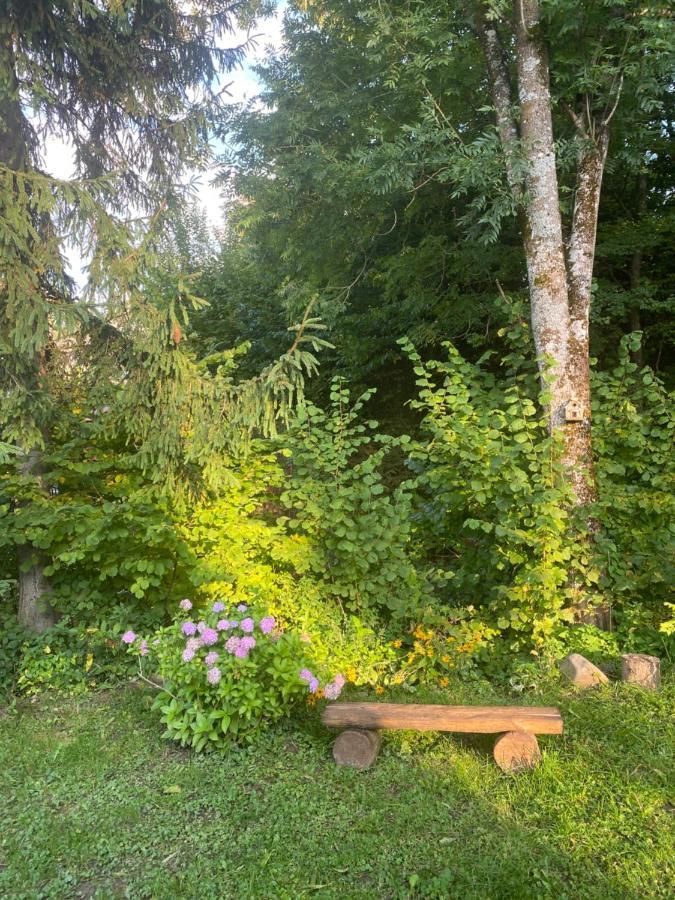 Holiday Home Usadba Novoselitsa المظهر الخارجي الصورة