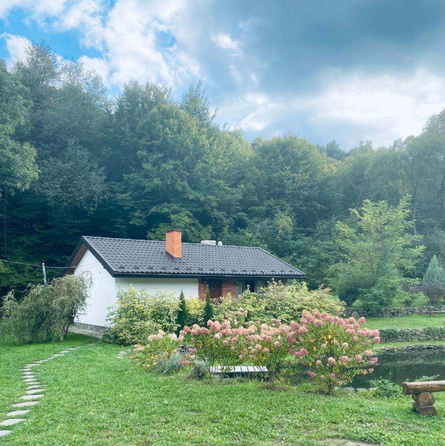 Holiday Home Usadba Novoselitsa المظهر الخارجي الصورة
