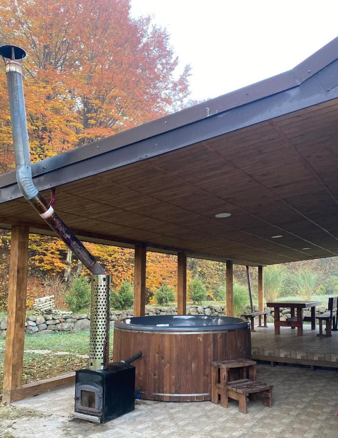 Holiday Home Usadba Novoselitsa المظهر الخارجي الصورة