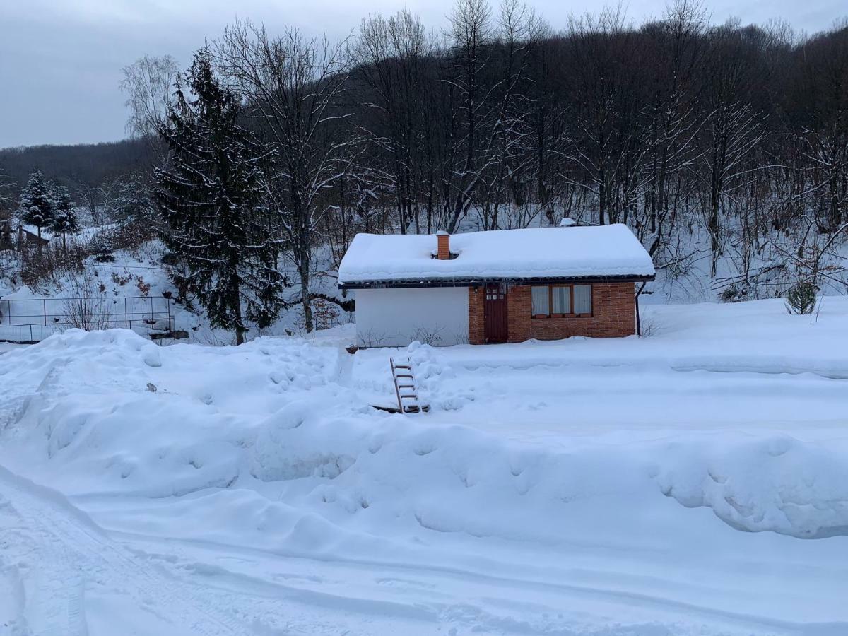 Holiday Home Usadba Novoselitsa المظهر الخارجي الصورة