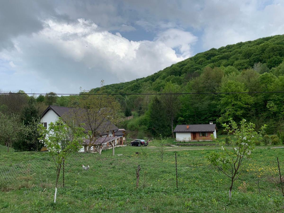 Holiday Home Usadba Novoselitsa المظهر الخارجي الصورة