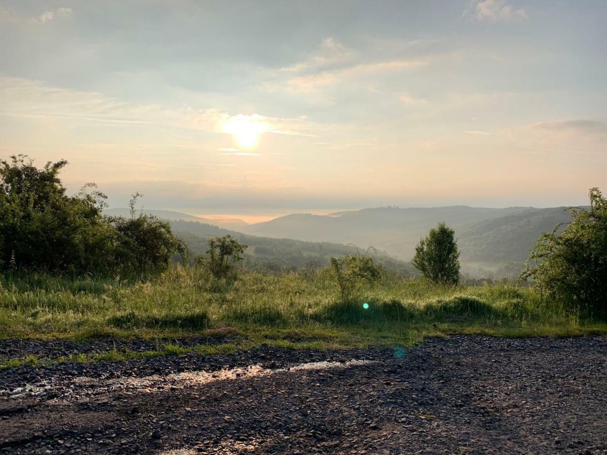 Holiday Home Usadba Novoselitsa المظهر الخارجي الصورة